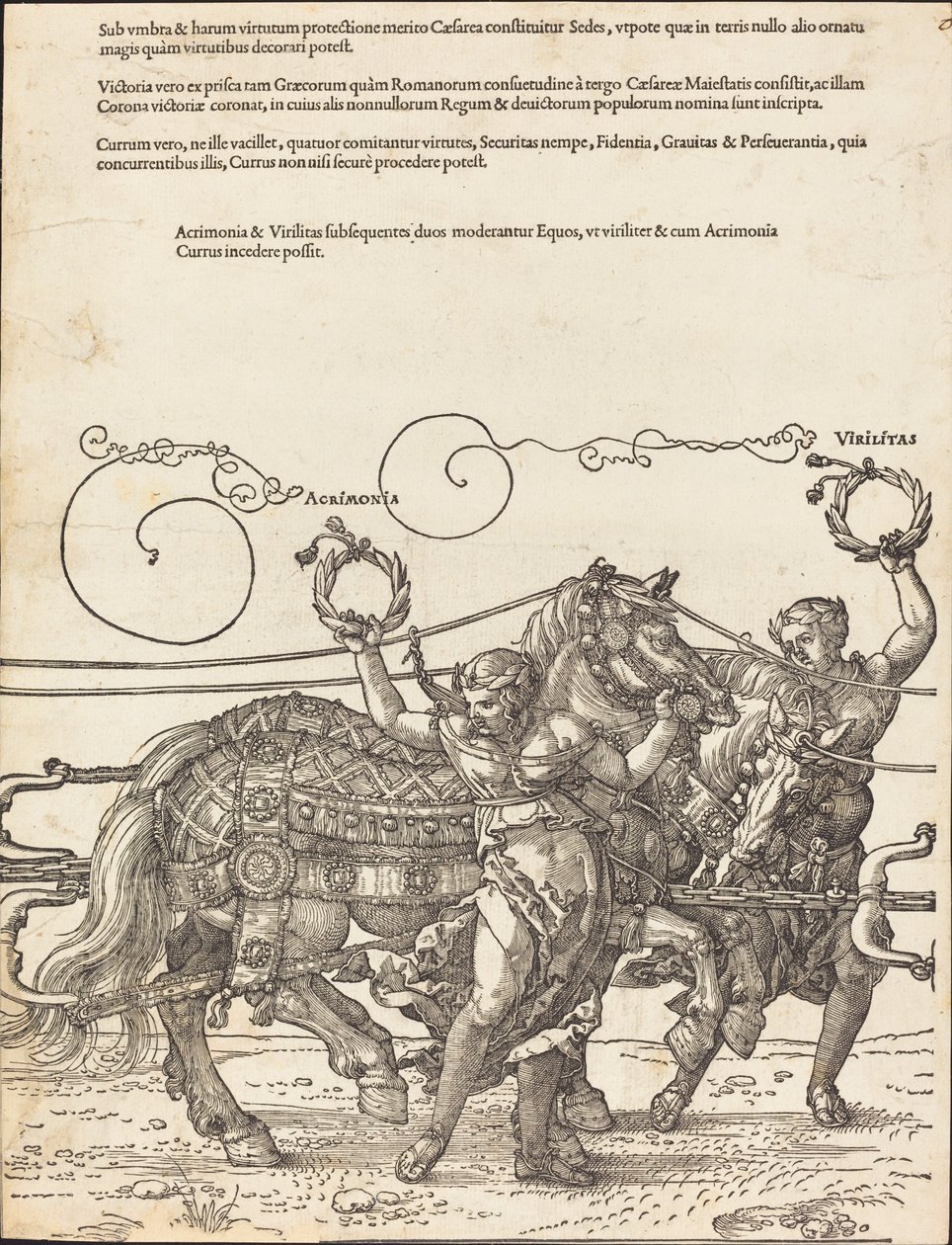 The Triumphal Chariot of Maximilian I (The Great Triumphal Car) [skylt 6 av 8] av Albrecht Dürer