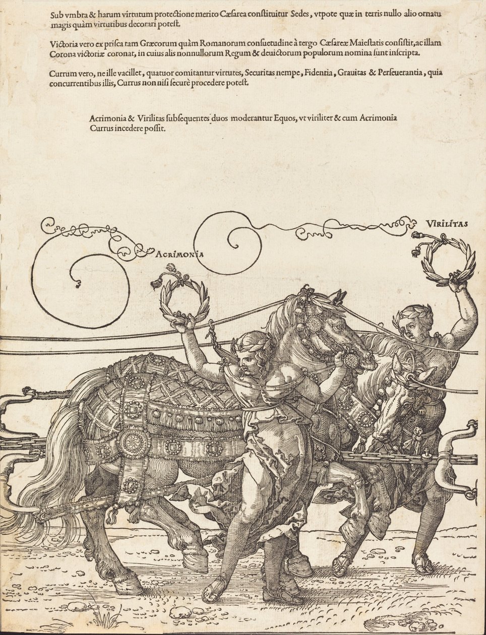 The Triumphal Chariot of Maximilian I The Great Triumphal Car [skylt 6 av 8], 1523 latinsk upplaga.. av Albrecht Dürer