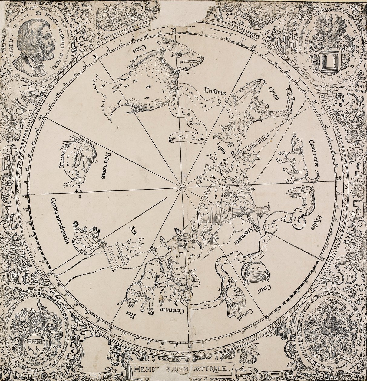 Det södra halvklotets kelestialdiagram, tidigt 1500-tal av Albrecht Dürer