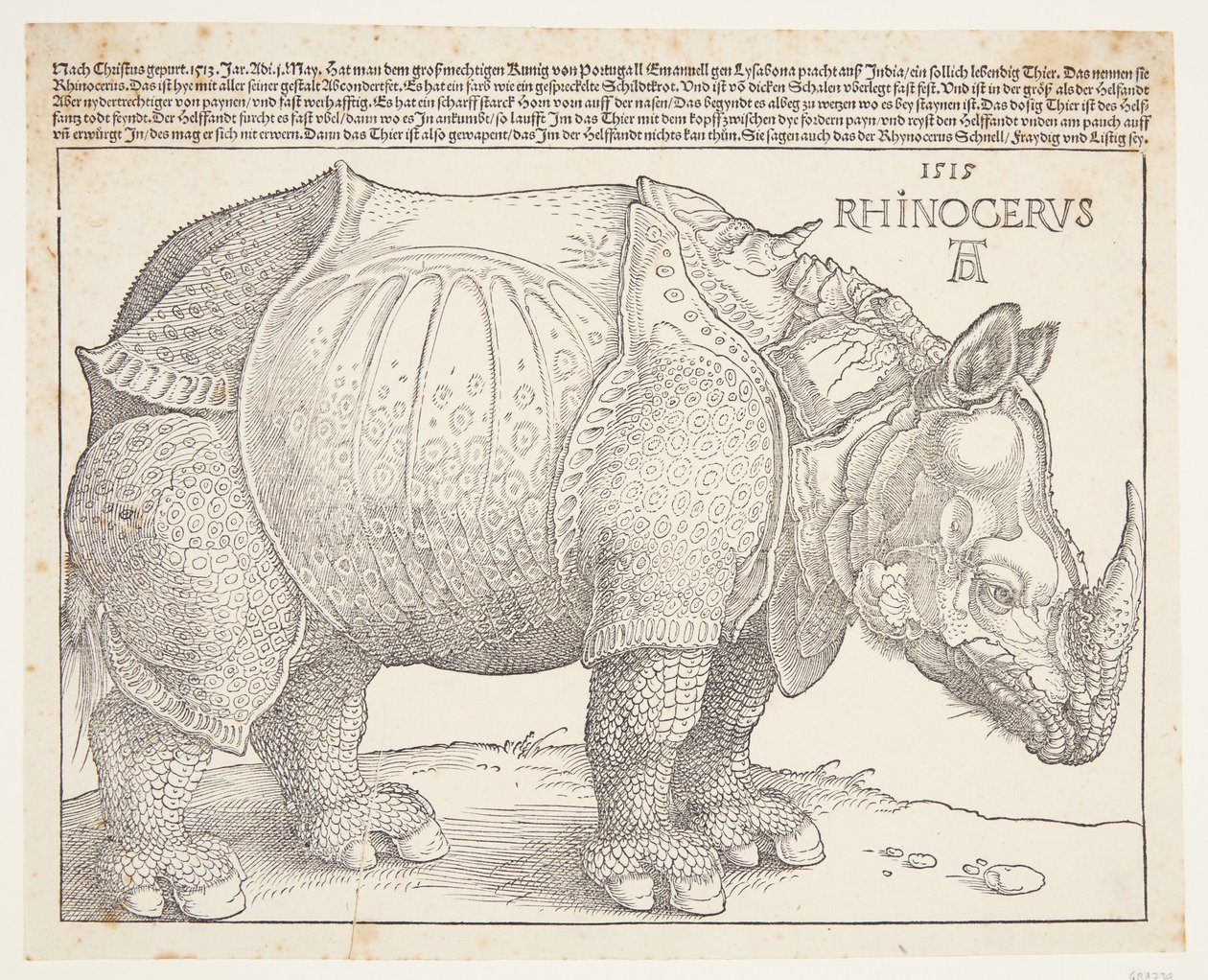 Noshörningen av Albrecht Dürer