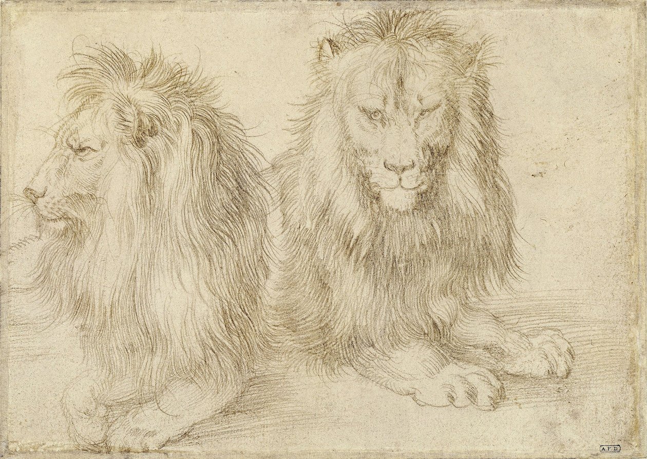 Två sittande lejon, 1521 av Albrecht Dürer