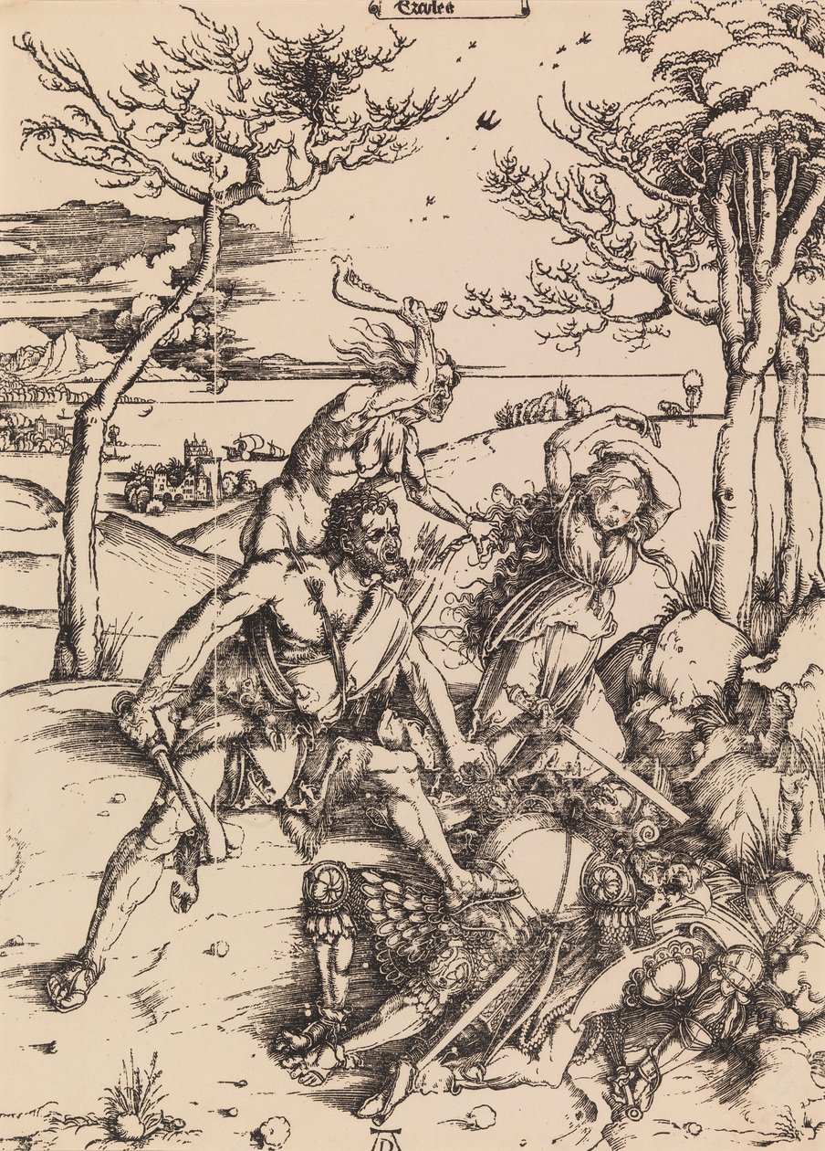 Utan titel av Albrecht Dürer