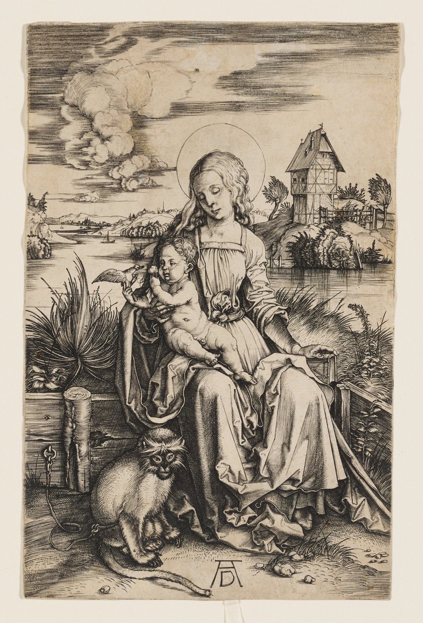 Jungfrun och barnet med apan av Albrecht Dürer