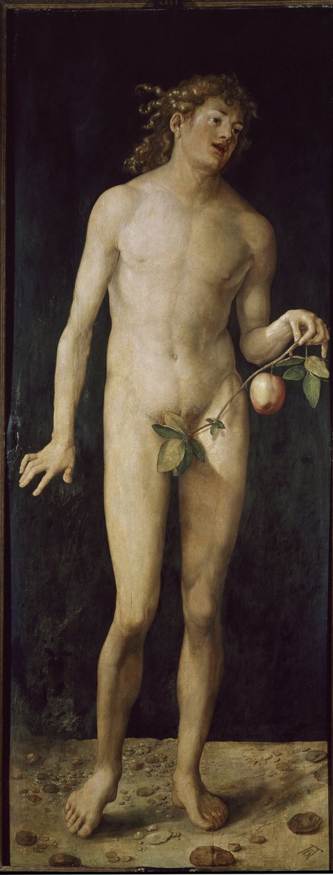 Adam (olja på trä av Albrecht Dürer