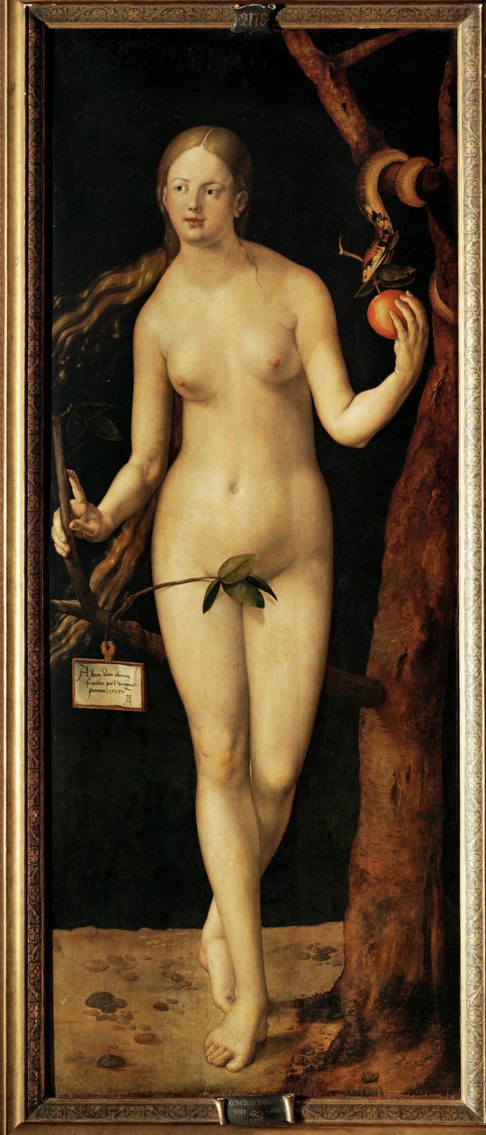 Eva av Albrecht Dürer or Duerer