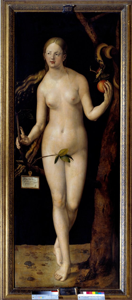 Eve-målning av Albrecht Durer (1471-1528), olja på trä av Albrecht Dürer