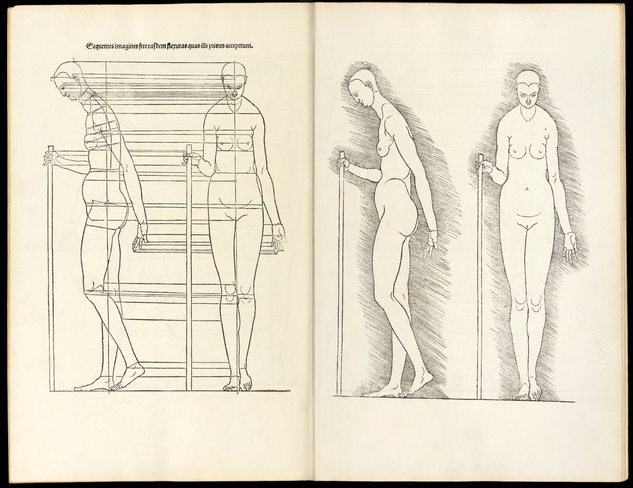 Kvinna med stav, anatomiskt träsnitt från Häri fattas fyra böcker av mänsklig proportion, 1528 av Albrecht Dürer
