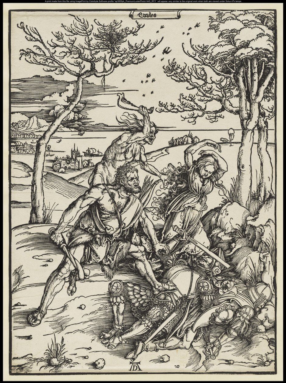  av Albrecht Dürer or Duerer