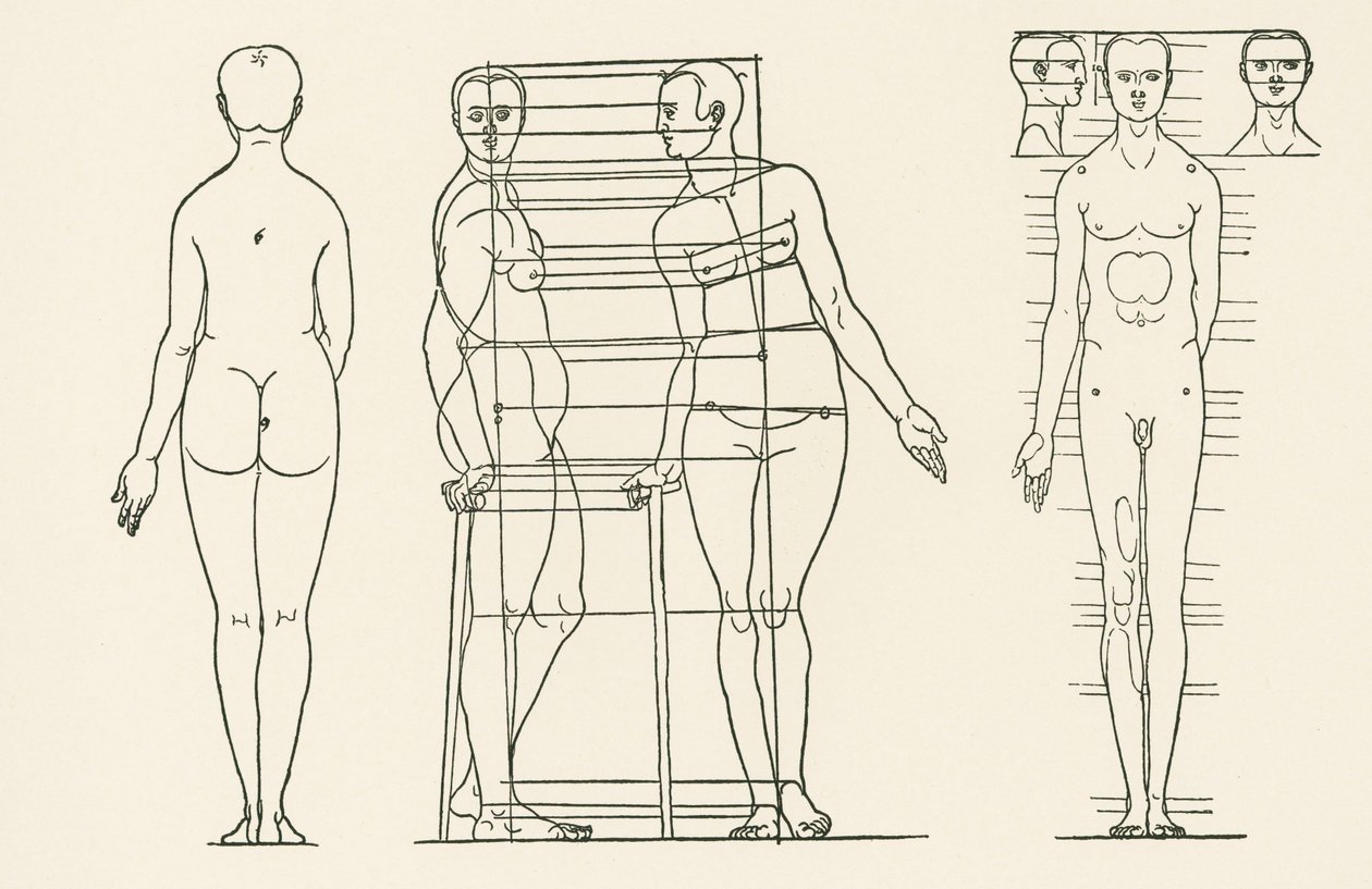 Illustration från Albrecht Dürers avhandling om proportionalitetsprinciperna av Albrecht Dürer or Duerer