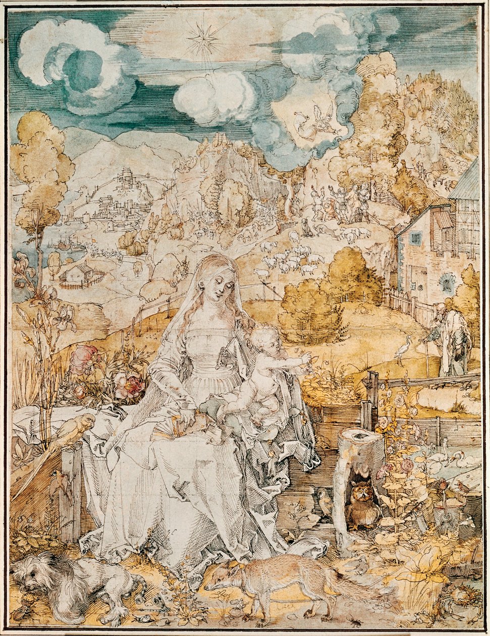 Madonna with a Multitude of Animals (akvarell, penna och pensel på papper) av Albrecht Dürer or Duerer