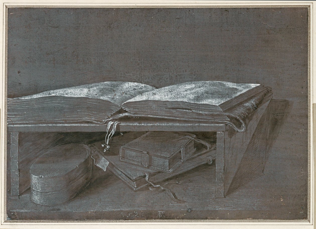 Open Book (penselteckning på brunt papper) av Albrecht Dürer or Duerer