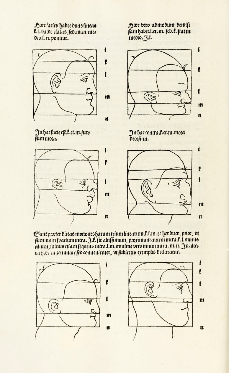 Proportioner av det mänskliga huvudet från "Här förstås fyra böcker av mänsklig proportion" av Albrecht Dürer