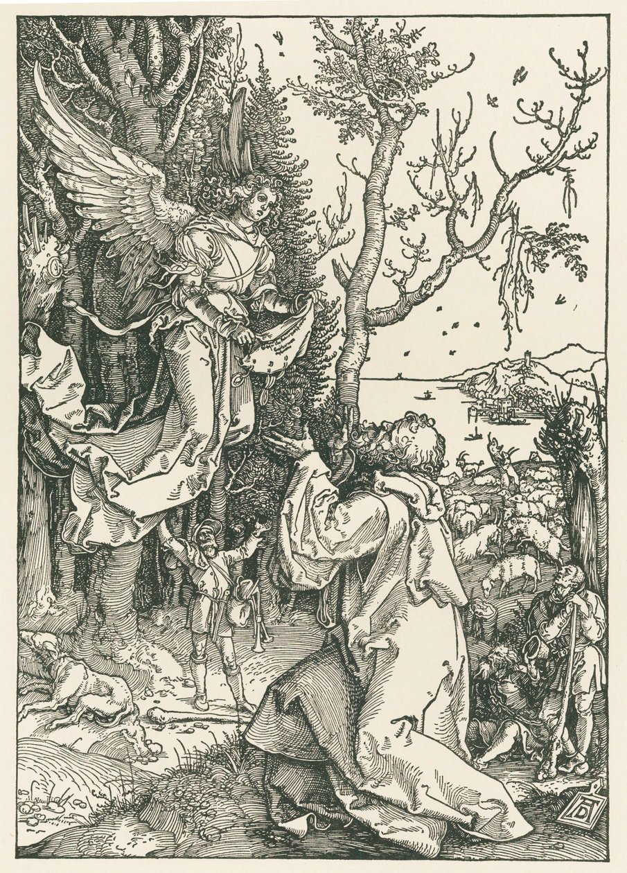 Ängeln med budskapet till Joachim, ca 1504 (träsnitt) av Albrecht Dürer or Duerer