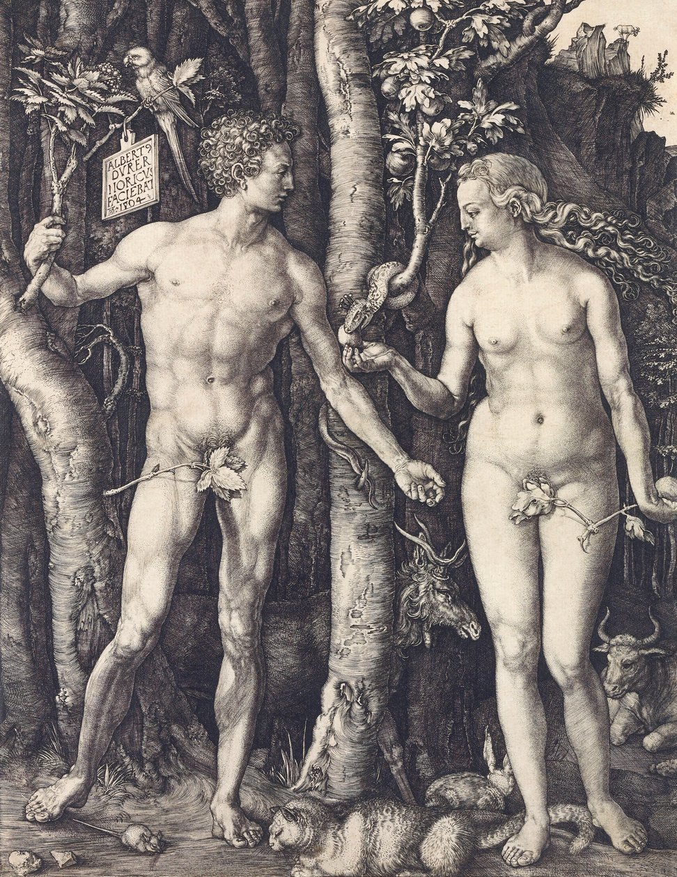 Menneskets fald af Albrecht Durerswed av Albrecht Dürer