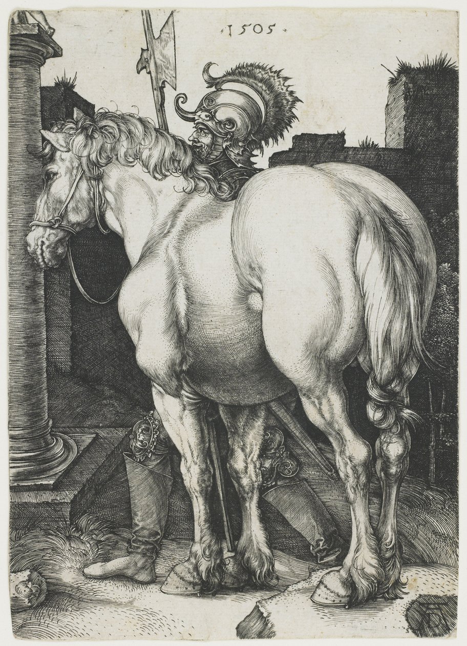Den stora hästen av Albrecht Dürer