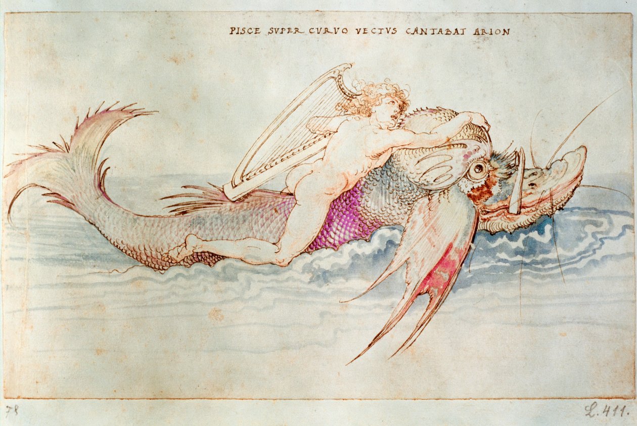 Den grekiske poeten Arion rider på delfin, ca 1515 (akvarell på papper) av Albrecht Dürer or Duerer