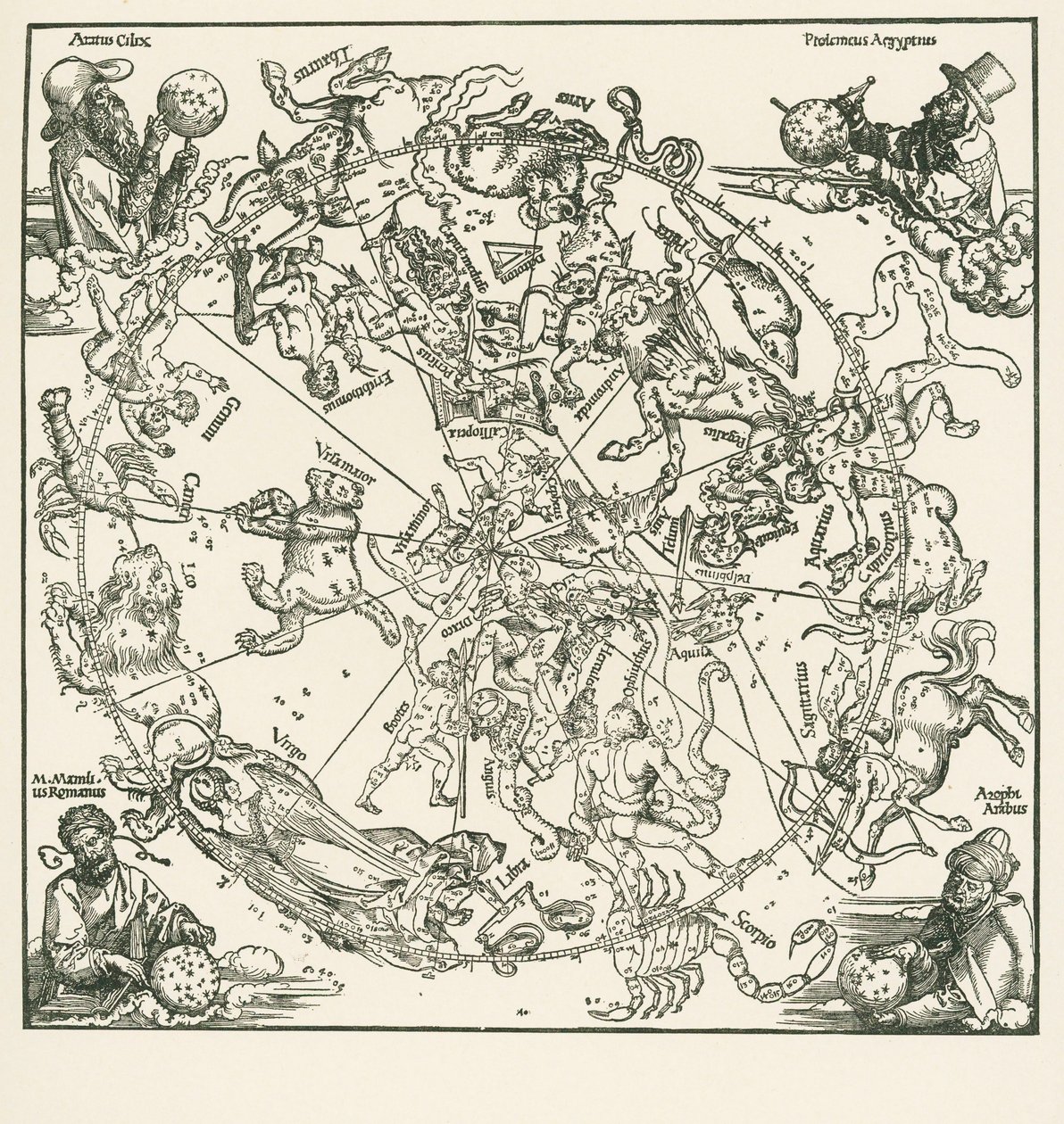 Det norra halvklotet av den celestrala globen av Albrecht Dürer or Duerer