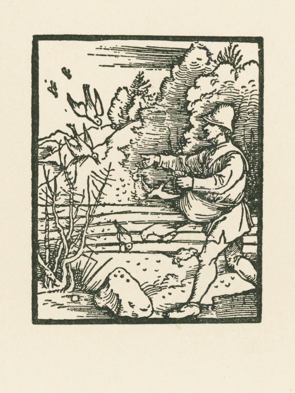 Liknelsen om såningsmannen av Albrecht Dürer or Duerer