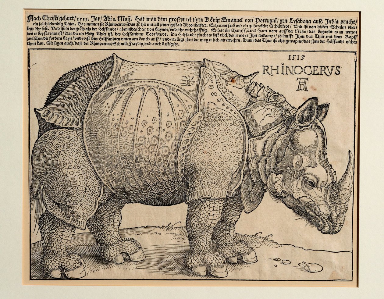 Noshörningen av Albrecht Dürer or Duerer