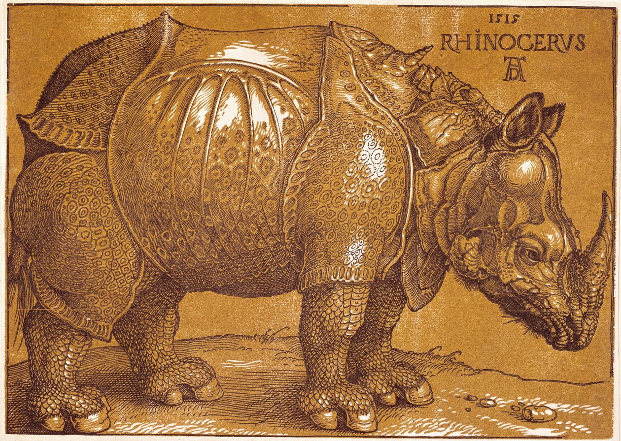 Noshörningen av Albrecht Dürer or Duerer