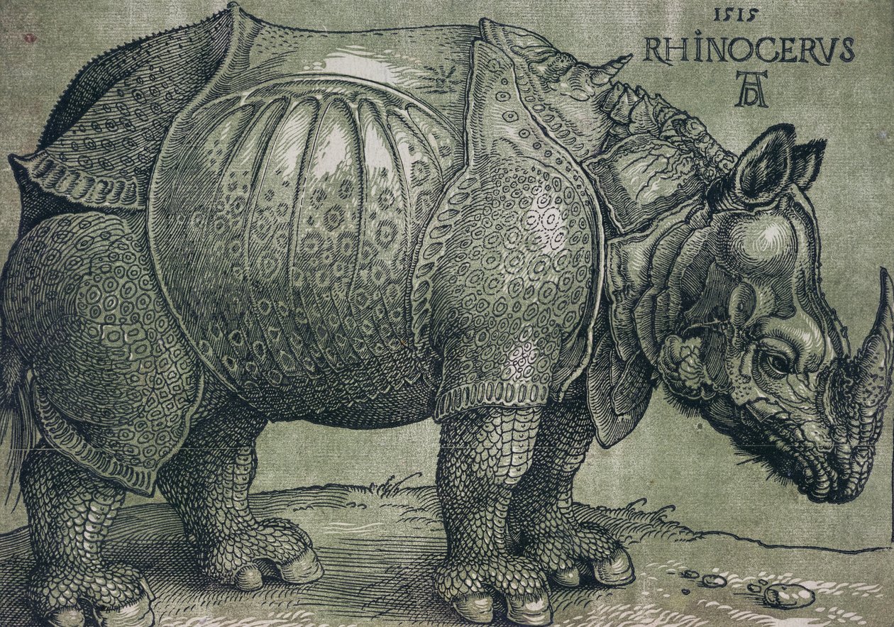 Noshörningen, 1515 av Albrecht Dürer