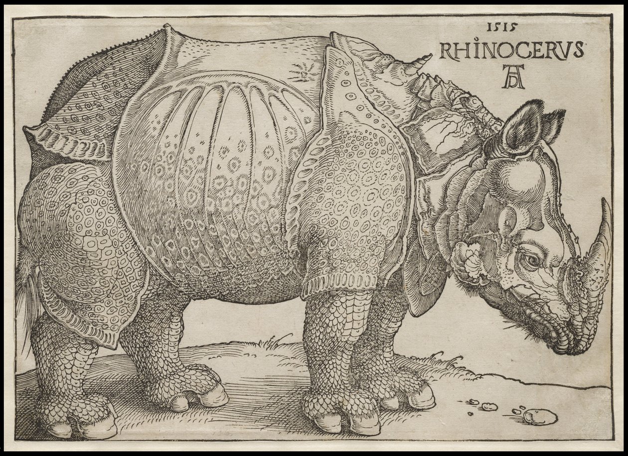 Noshörningen, 1515 av Albrecht Dürer