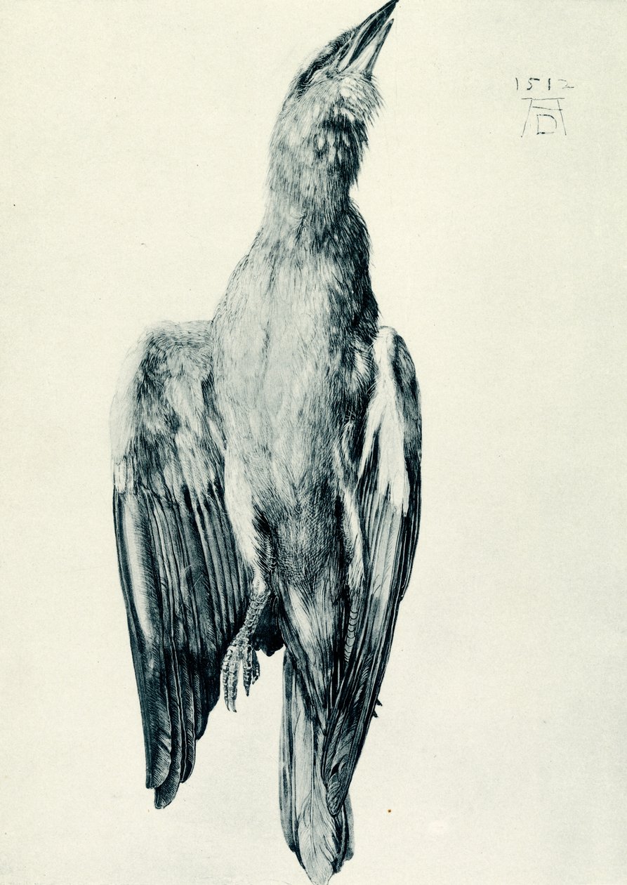 Den dödblå rullen av Albrecht Dürer