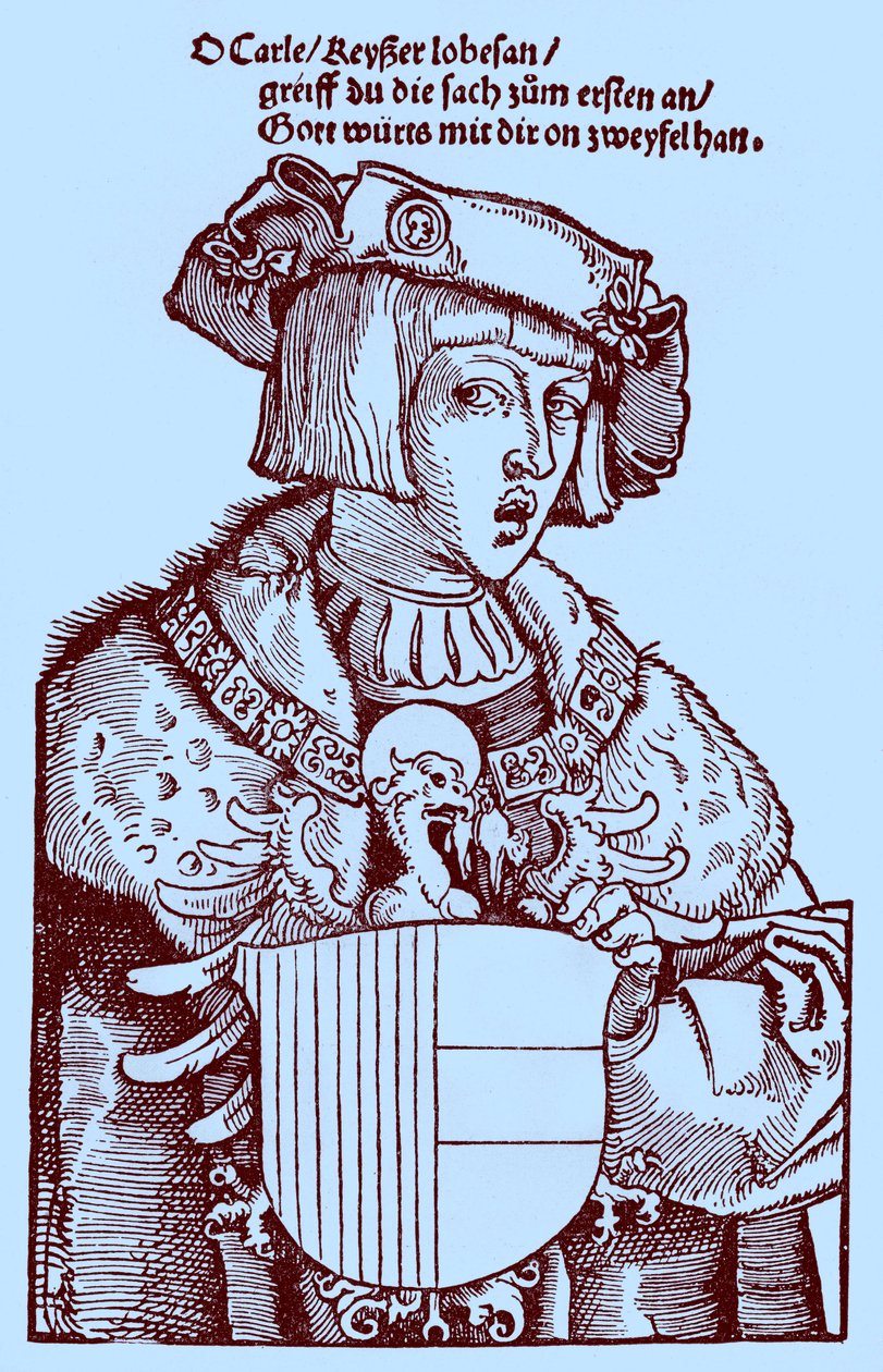 Ungdom Karl V (1500-1558) (gravyr) av Albrecht Dürer