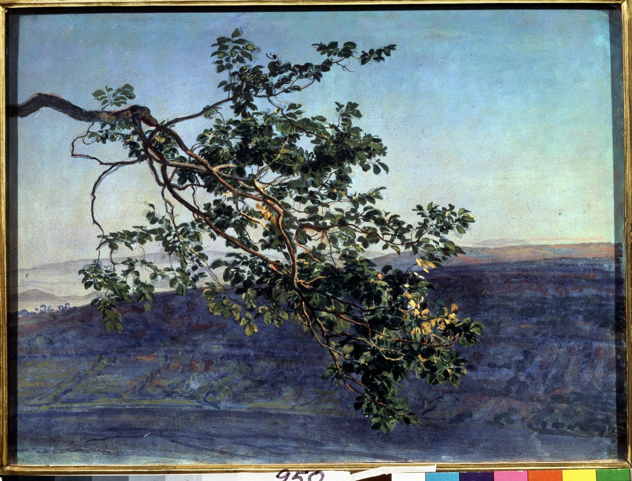 ""La branche"" Peinture de Alexander Ivanov (1806-1858) 1840-1850 State Tretyakov Gallery, Moscou av Aleksandr Andreevich Ivanov