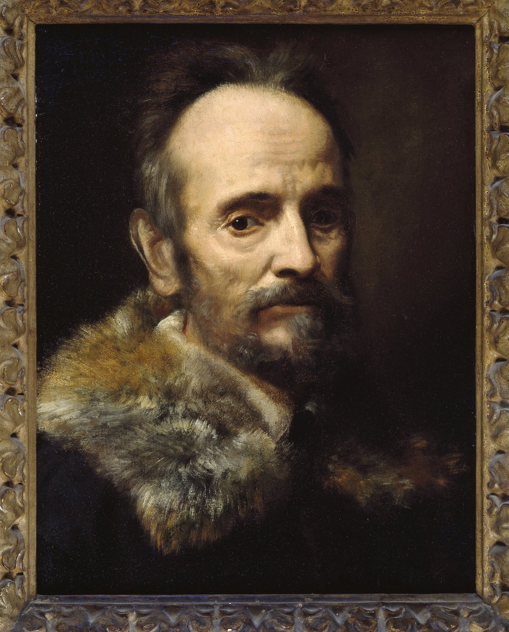 Bernardo Davanzati Bostichi av Alessandro Allori