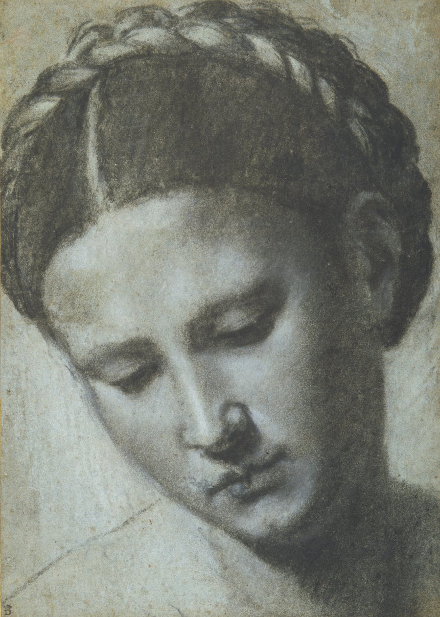 En kvinnas huvud med flätat hår (kol & vit krita på carta azzura) av Alessandro Bonvicino Moretto