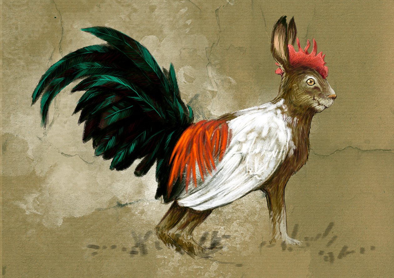 Fantastiska monster och varelser, kryptozoologi: representation av en skvader, imaginär varelse av Sverige, halvvägs mellan en hare och en stor ljungtupp, den skapades 1918 av taxidermist Rudolf Granberg - Teckning av Alessandro Lonati, 2012 av Alessandro Lonati