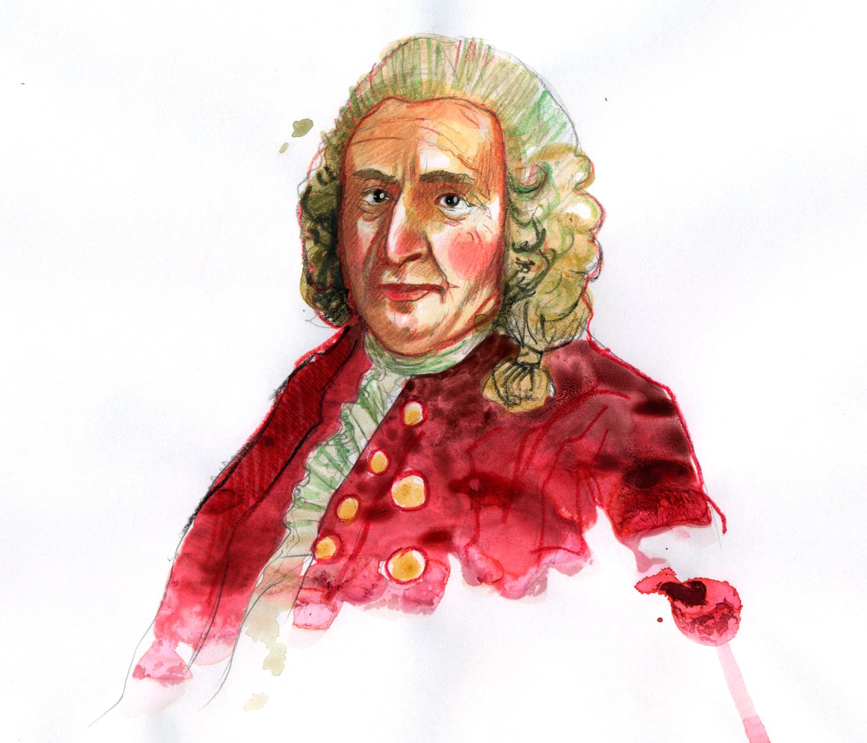 Porträtt av Carl Linnaeus sedan Carl von Linne (1707-1778) svensk naturforskare (Porträtt av Carl Linnaeus) av Alessandro Lonati