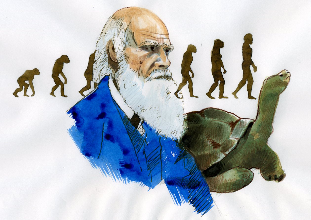 Porträtt av Charles Darwin - Porträtt av den engelske naturforskaren Charles Darwin (1809-1882) Illustration av Alessandro Lonati