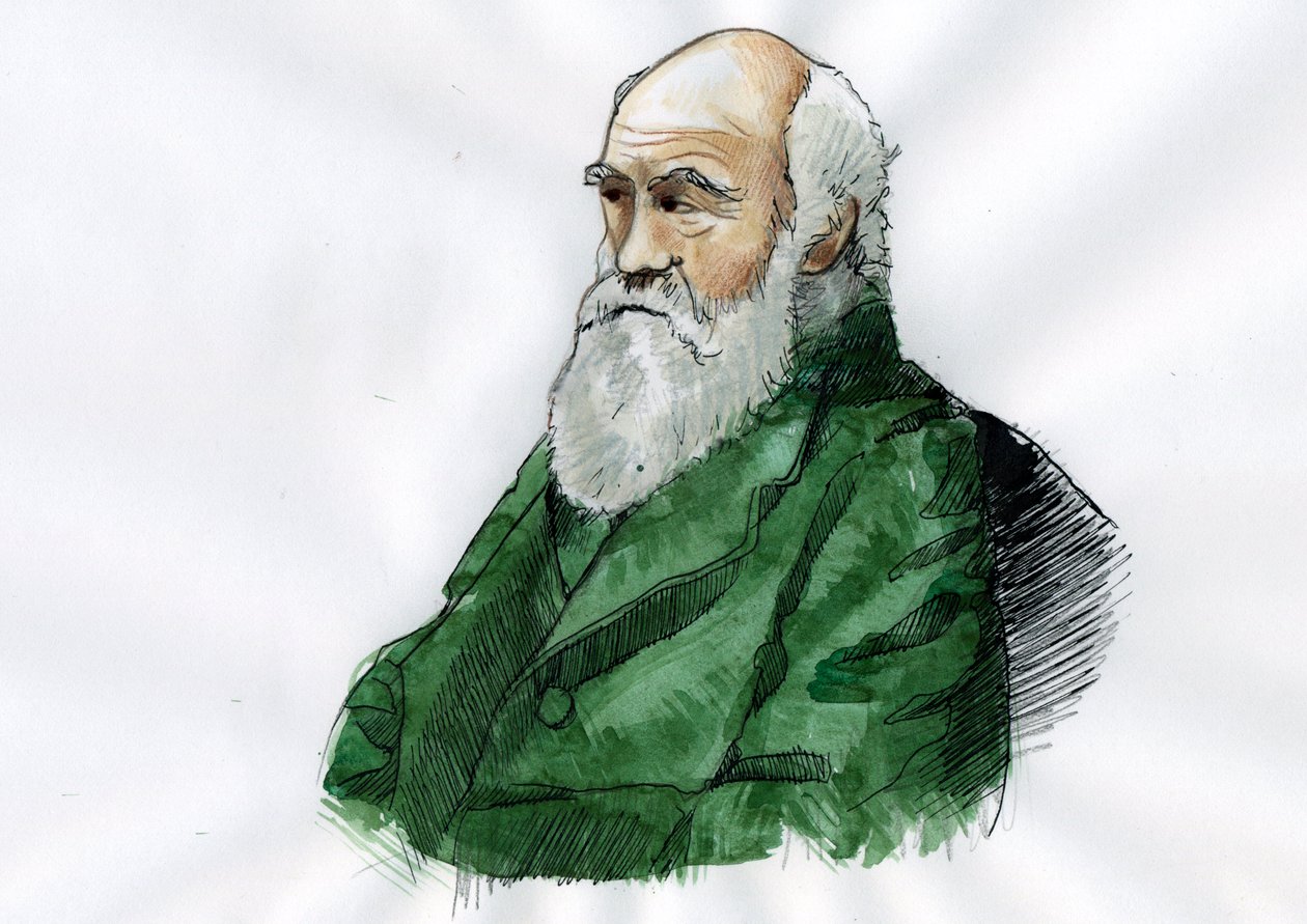 Porträtt av Charles Darwin - Porträtt av den engelske naturforskaren Charles Darwin (1809-1882) Illustration av Alessandro Lonati