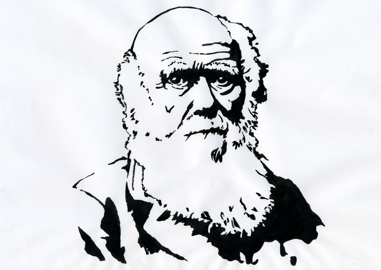 Porträtt av Charles Darwin - Porträtt av den engelske naturforskaren Charles Darwin (1809-1882) Illustration av Alessandro Lonati