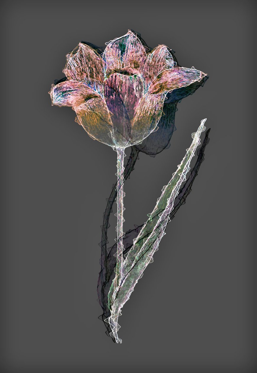 Blomma, 2020, (blandade media) av Alex Caminker
