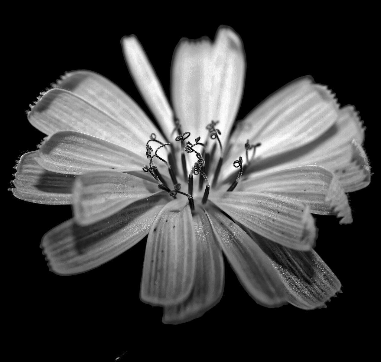 Namnlös, 2019, (fotografi) av Alex Caminker