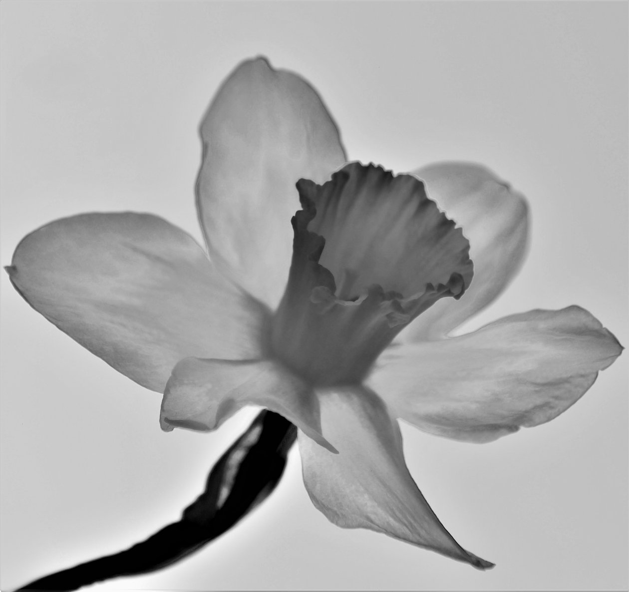 Namnlös, 2019, (fotografi) av Alex Caminker