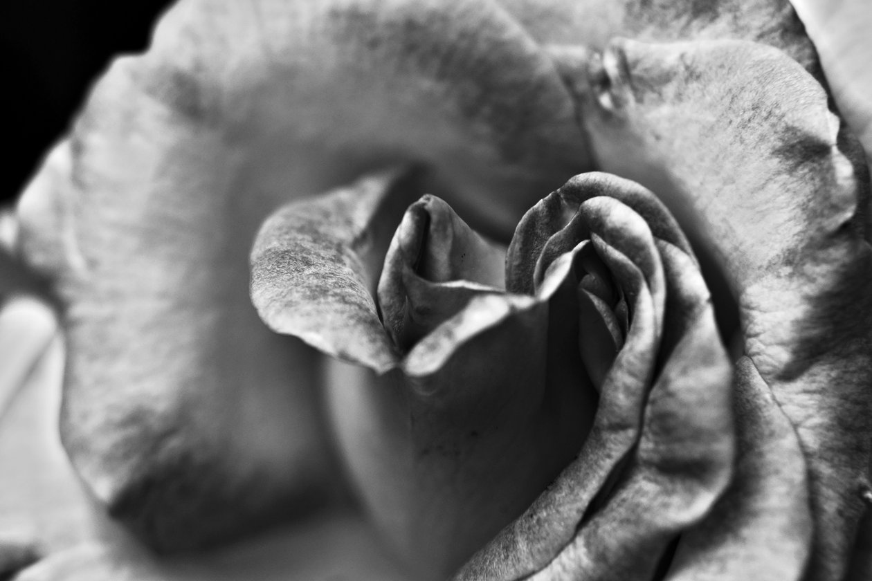 Namnlös, 2019, (fotografi) av Alex Caminker
