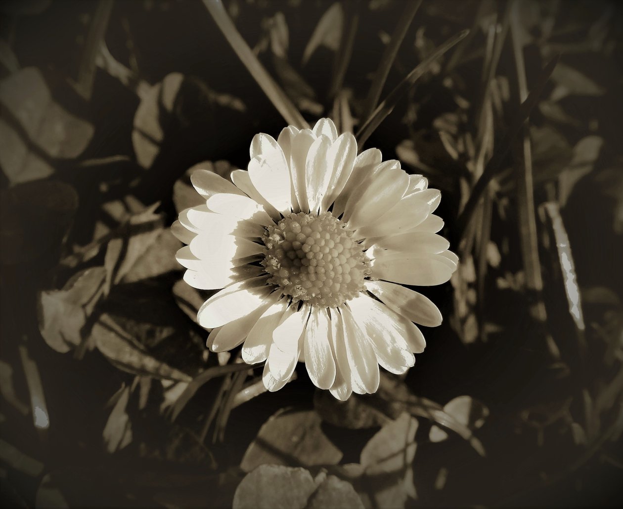 Namnlös, 2019, (fotografi) av Alex Caminker