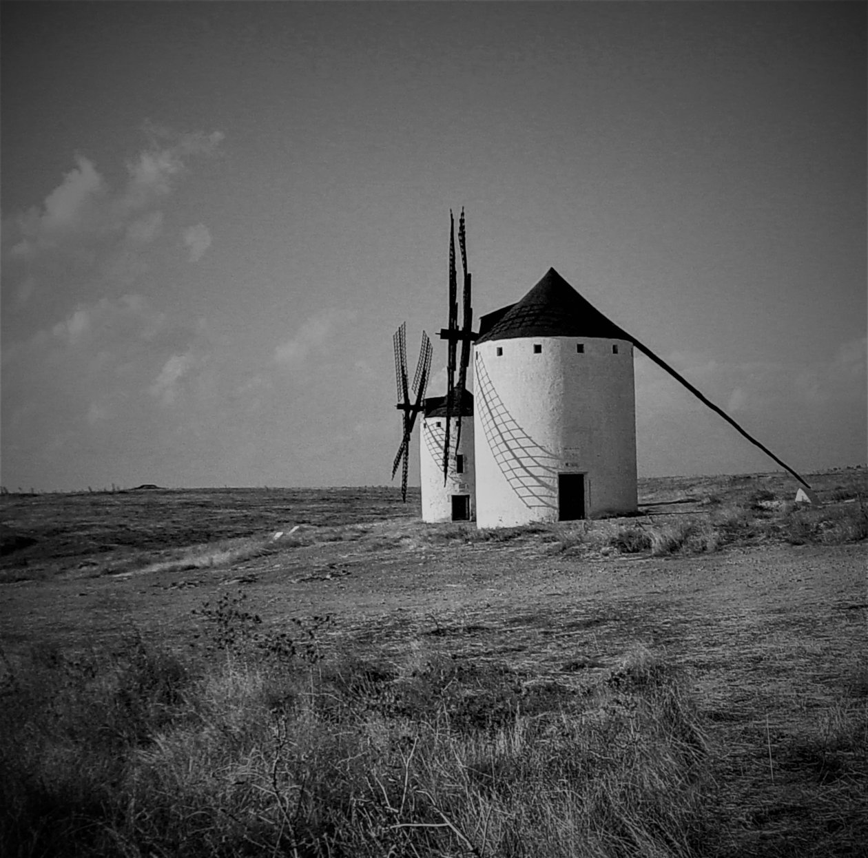 Namnlös, 2019, (fotografi) av Alex Caminker