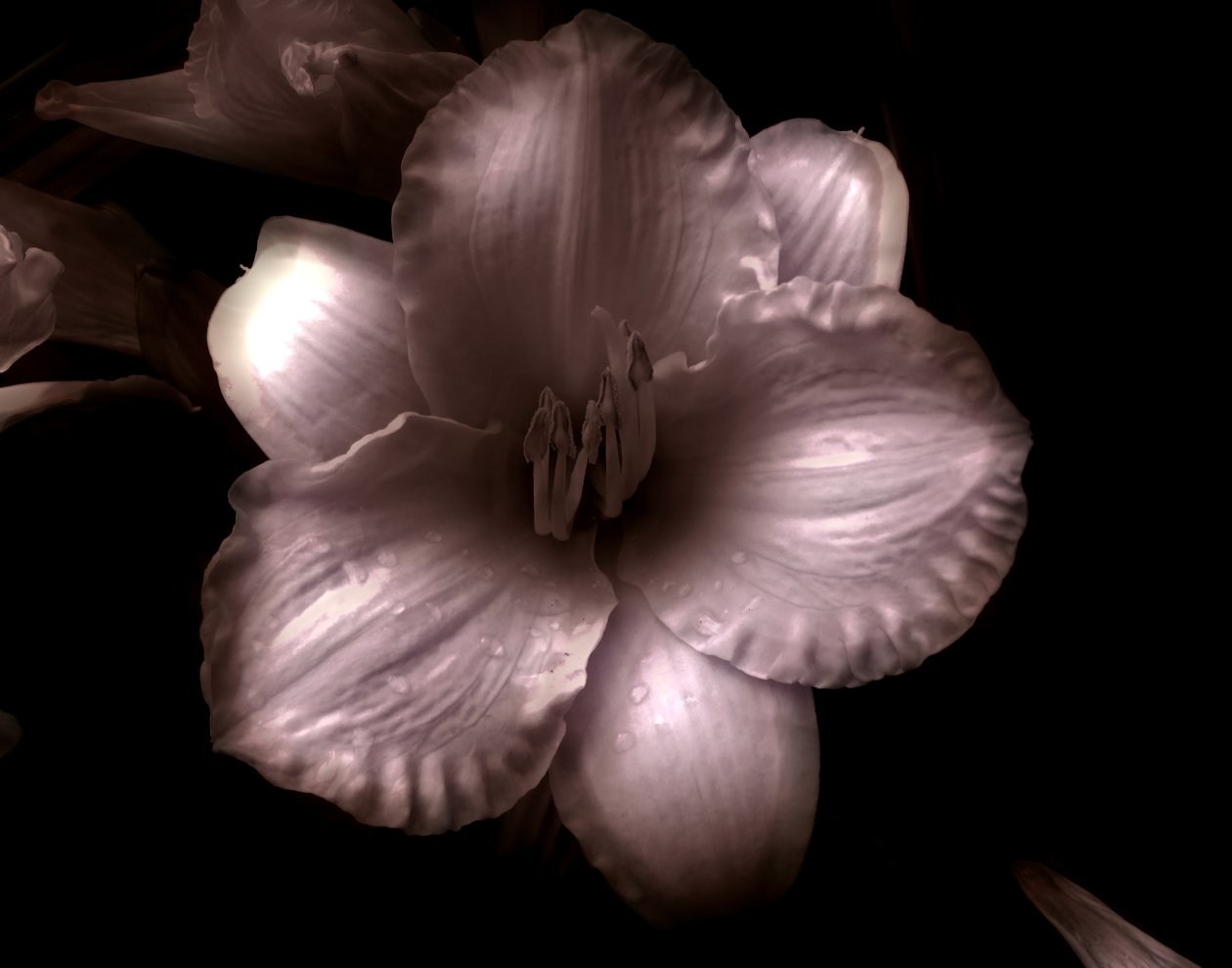 Namnlös, 2019, (fotografi) av Alex Caminker