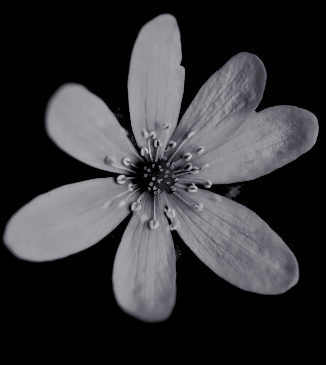 Namnlös, 2019, (fotografi) av Alex Caminker
