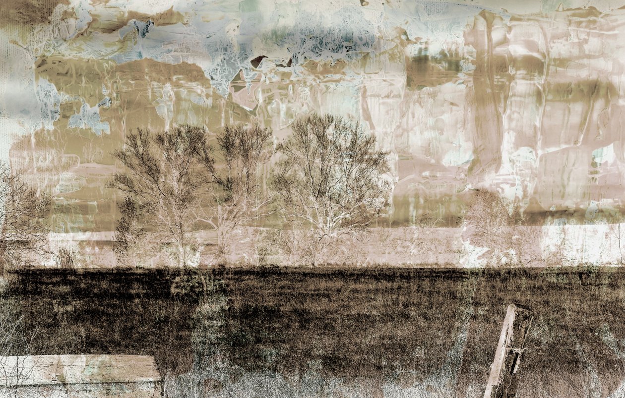 brun dimma, 2019, (blandade media) av Alex Caminker