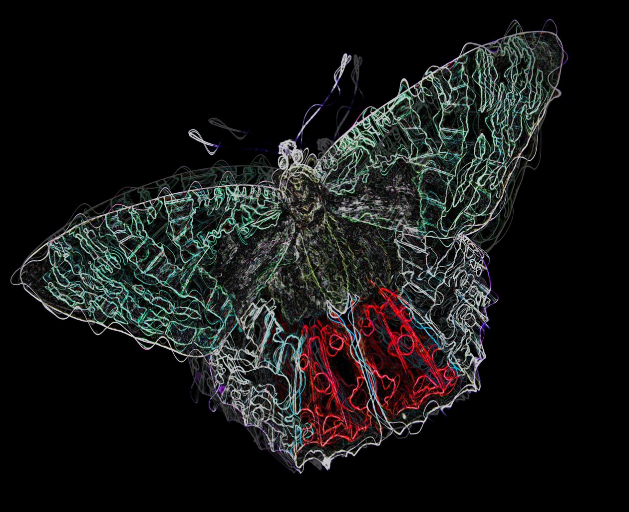 butterfly V,2020,(bland media) av Alex Caminker