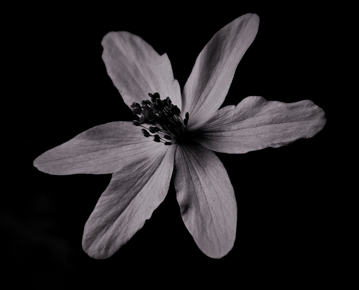 konstruktion, 2019, (fotografi) av Alex Caminker