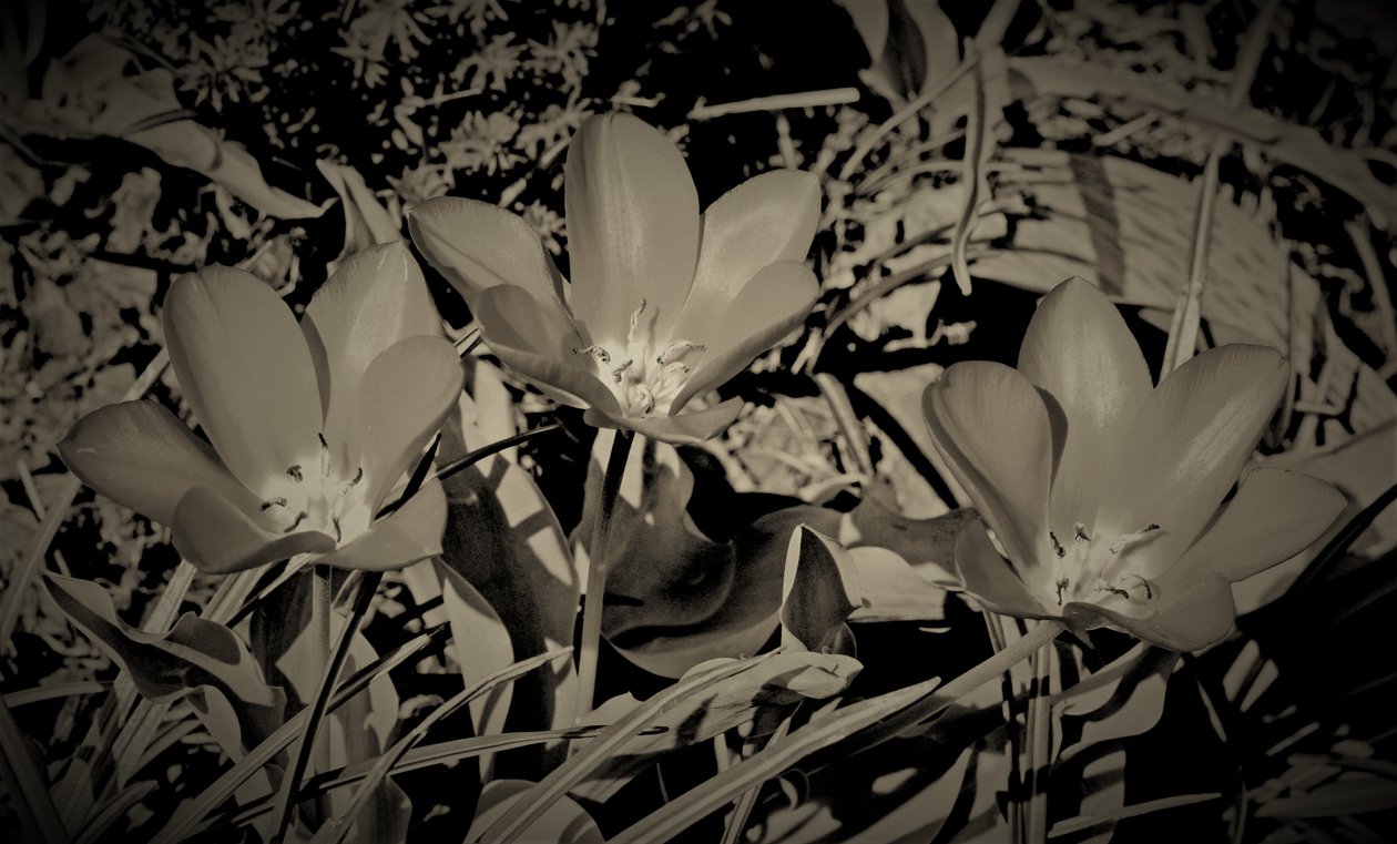 familj, 2019, (fotografi) av Alex Caminker