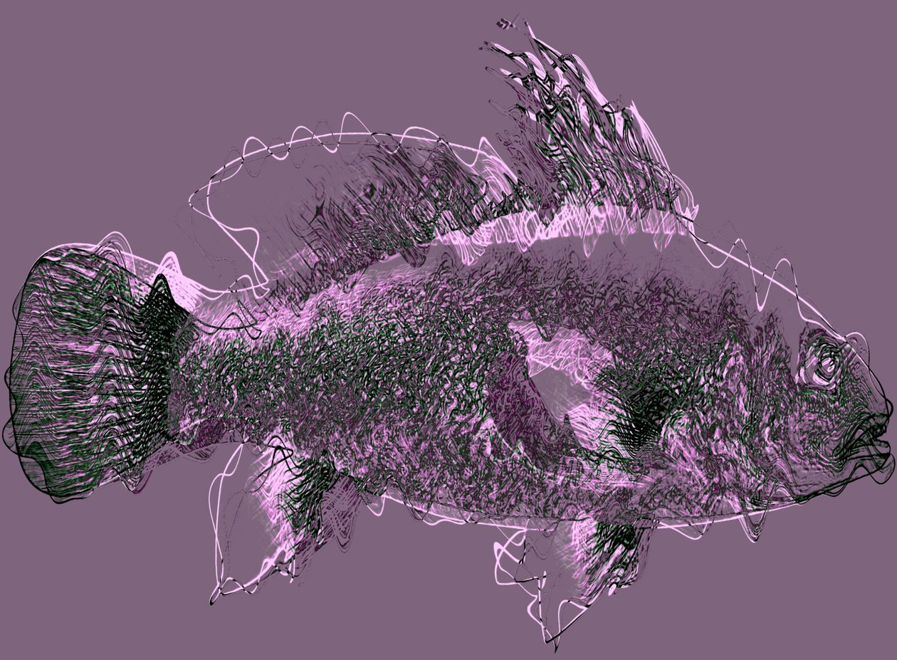 fisk III,2020,(blandmedier) av Alex Caminker