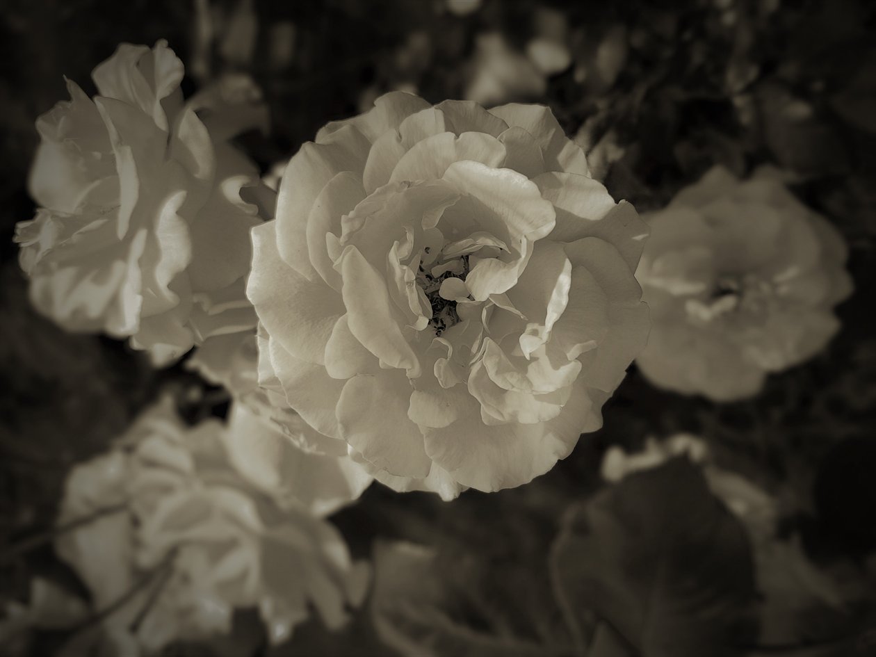 grupp, 2019, (fotografi) av Alex Caminker